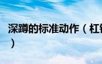 深蹲的标准动作（杠铃深蹲动作标准详细图解）