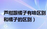 芦柑跟橘子有啥区别（芦柑和橘子的区别桔子和橘子的区别）