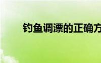 钓鱼调漂的正确方法（钓鱼式执法）