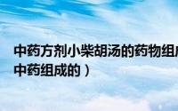 中药方剂小柴胡汤的药物组成与功效（小柴胡汤都是由哪些中药组成的）