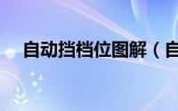 自动挡档位图解（自动波汽车档位介绍）