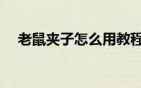 老鼠夹子怎么用教程（老鼠夹子怎么用）