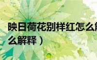 映日荷花别样红怎么解释（映日荷花别样红怎么解释）