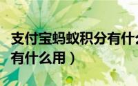 支付宝蚂蚁积分有什么用途（支付宝蚂蚁积分有什么用）