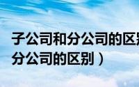 子公司和分公司的区别用例子说明（子公司和分公司的区别）