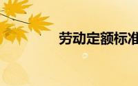 劳动定额标准（劳动定额）