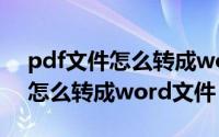pdf文件怎么转成word文件免费（pdf文件怎么转成word文件）