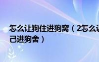 怎么让狗住进狗窝（2怎么训练狗狗自己进窝如何让爱犬自己进狗舍）