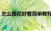 怎么插花好看简单教程（怎么插花好看教程）