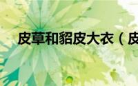 皮草和貂皮大衣（皮草大衣什么毛的好）
