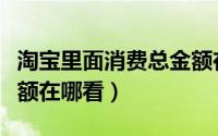 淘宝里面消费总金额在哪里看（淘宝消费总金额在哪看）