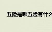 五险是哪五险有什么用（五险是哪五险）