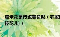 爆米花是传统美食吗（农家的味道之一-----爆米花(俗称:炒棒花儿)）