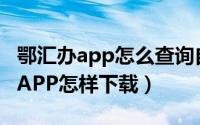 鄂汇办app怎么查询自己的缴费信息（鄂汇办APP怎样下载）