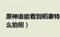 原神谁能看到稻妻特产（原神4张稻妻特产怎么拍照）