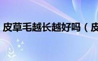 皮草毛越长越好吗（皮草毛短好还是毛长好）