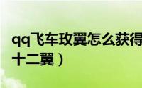 qq飞车玫翼怎么获得（QQ飞车如何购买缤纷十二翼）