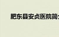 肥东县安贞医院简介（肥东县安监局）