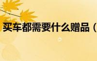 买车都需要什么赠品（买车都需要什么费用）