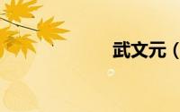 武文元（武文元）