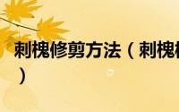 刺槐修剪方法（刺槐树长得太快遮光怎么修剪）