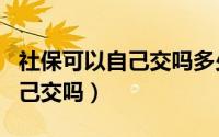 社保可以自己交吗多少钱一个月（社保可以自己交吗）