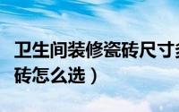 卫生间装修瓷砖尺寸多大合适（卫生间装修瓷砖怎么选）
