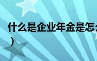 什么是企业年金是怎么回事（什么是企业年金）