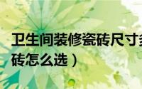 卫生间装修瓷砖尺寸多大合适（卫生间装修瓷砖怎么选）