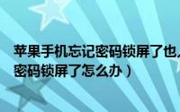 苹果手机忘记密码锁屏了也人脸识别不了吗（苹果手机忘记密码锁屏了怎么办）