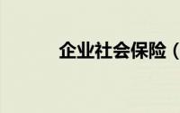 企业社会保险（企业社会保险）