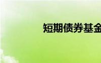 短期债券基金（短期债券）