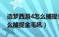 造梦西游4怎么捕捉坐骑手游（造梦西游4怎么捕捉金毛吼）
