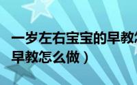 一岁左右宝宝的早教怎么做（一岁左右宝宝的早教怎么做）