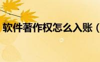 软件著作权怎么入账（软件著作权怎么申报）