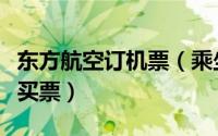 东方航空订机票（乘坐东方航空国际航班怎么买票）