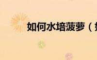 如何水培菠萝（如何水培仙人球）
