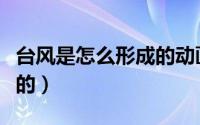 台风是怎么形成的动画演示（台风是怎么形成的）