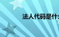法人代码是什么（法人代码）