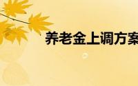 养老金上调方案（养老金亏空）