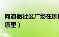 问道微社区广场在哪里看（问道微社区广场在哪里）