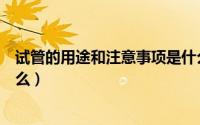 试管的用途和注意事项是什么（试管的用途和注意事项是什么）
