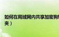 如何在局域网内共享加密狗软件（如何在局域网内共享文件夹）