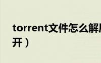 torrent文件怎么解压（torrent文件怎么打开）