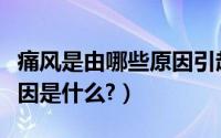 痛风是由哪些原因引起的（常见引起痛风的病因是什么?）