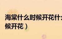 海棠什么时候开花什么时候结果（海棠什么时候开花）