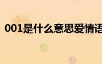 001是什么意思爱情语言（001是什么意思）
