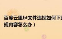 百度云里bt文件违规如何下载（BT文件下载文件名中包含违规内容怎么办）