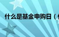 什么是基金申购日（什么是基金申购费率）