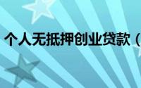 个人无抵押创业贷款（个人无抵押创业贷款）